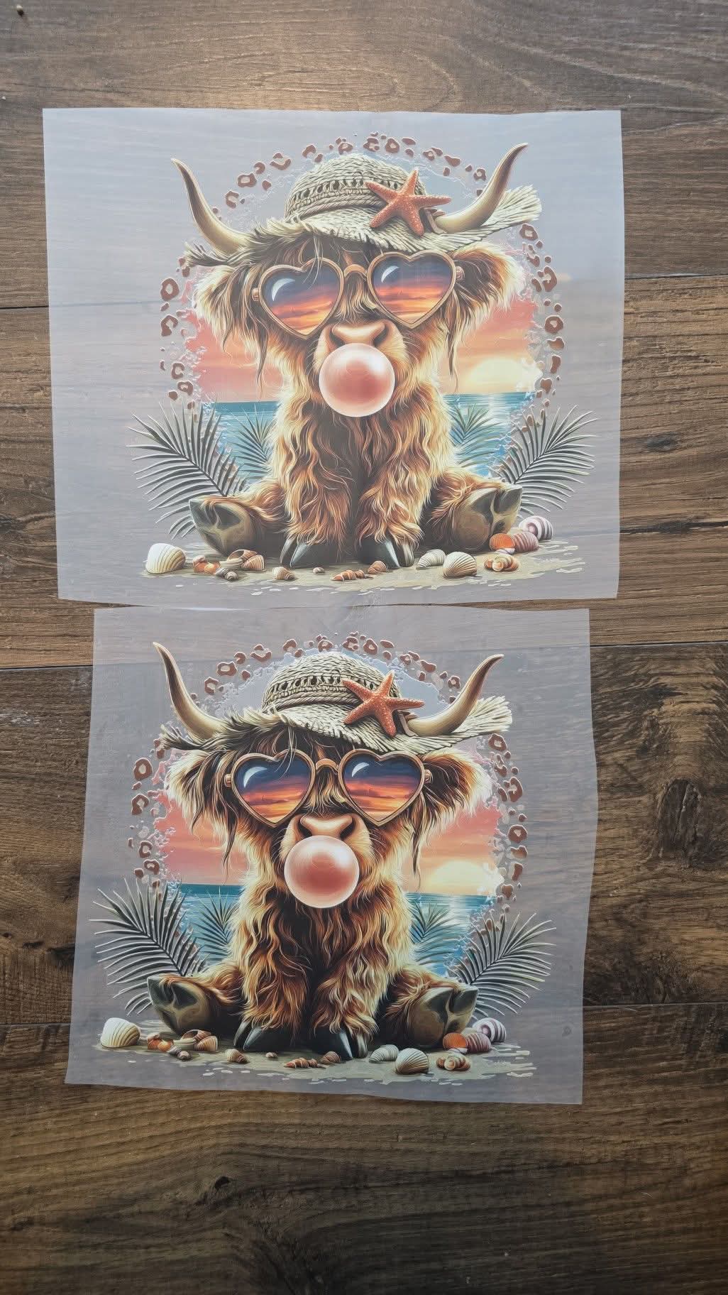 Dtf print for a shirt